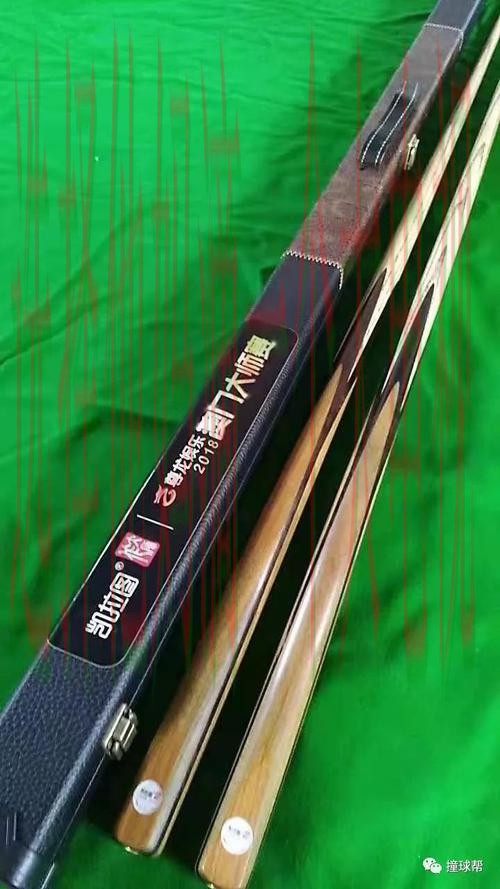 尊龙体育综合版全方位解析